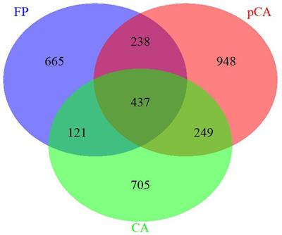 Effect of conservation agriculture on soil fungal diversity in rice-wheat-greengram cropping system in eastern Indo-Gangetic plains of South Asia